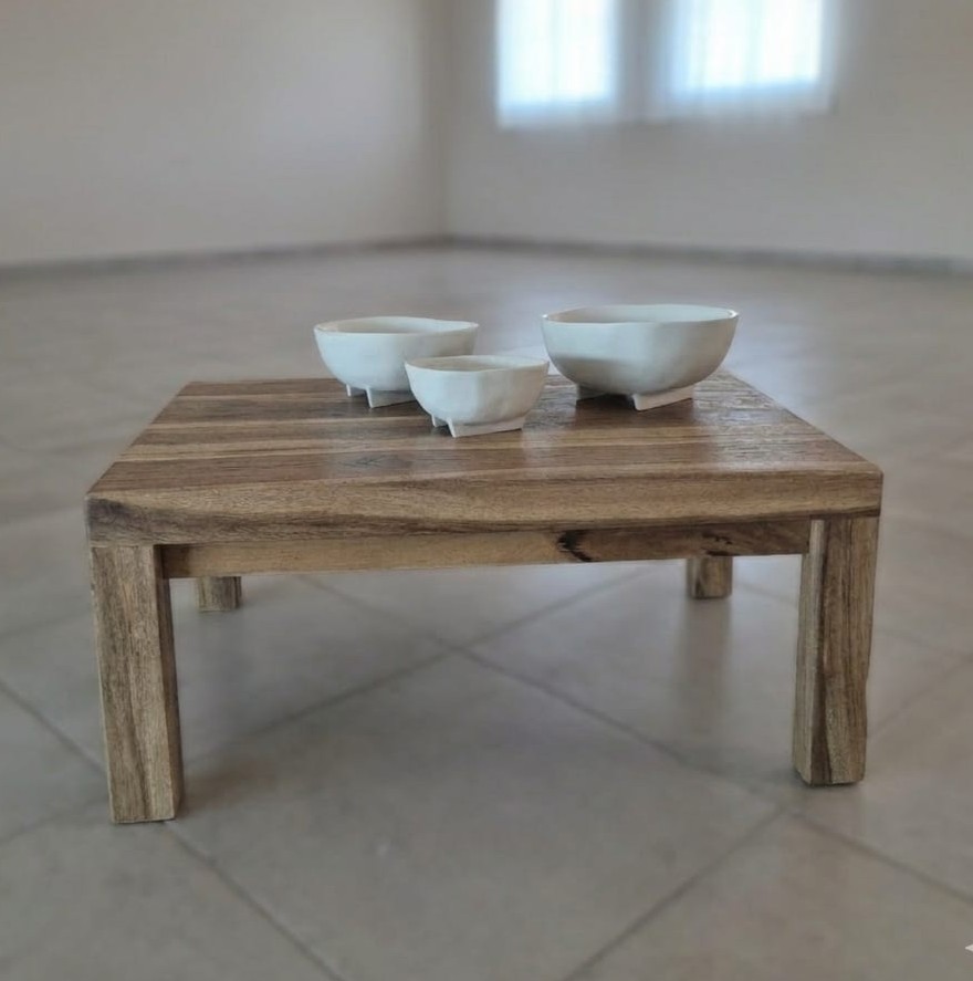 MESA RATONA PETIRIBI 80x60x35