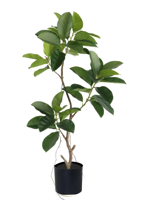 PLANTA ARTIFICIAL FICUS 150 CM