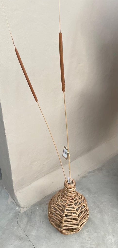 PENACHO 100 CM