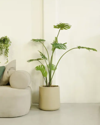 PLANTA ARTIFICIAL COSTILLA DE ADAN 160